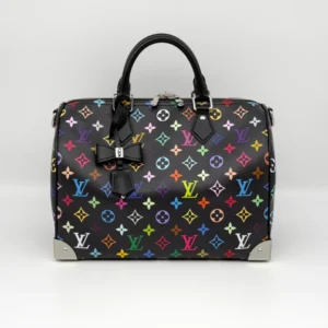 Louis Vuitton Speedy Soft 30 Bag